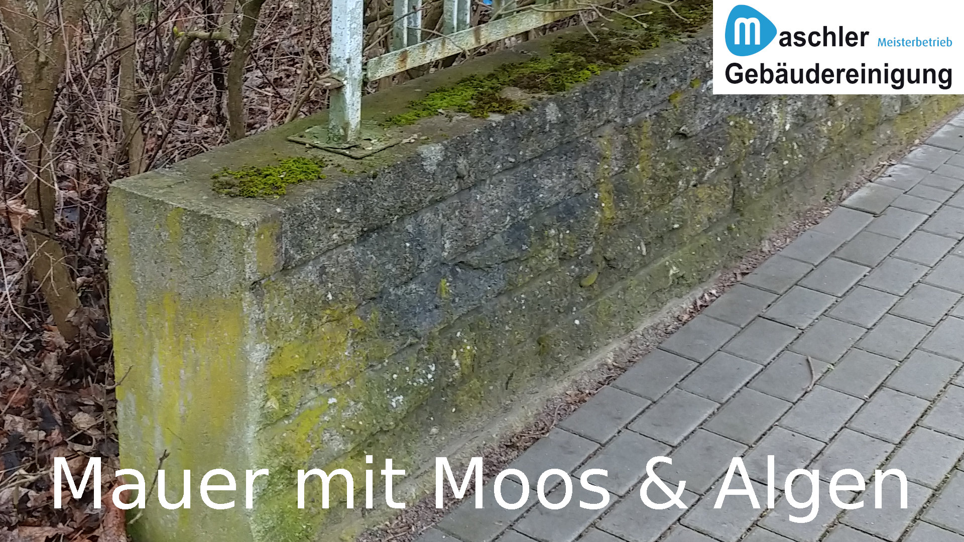 Mauer mit Moos - Gebäudereinigung Maschler GmbH